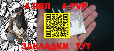 стаф Кунгур