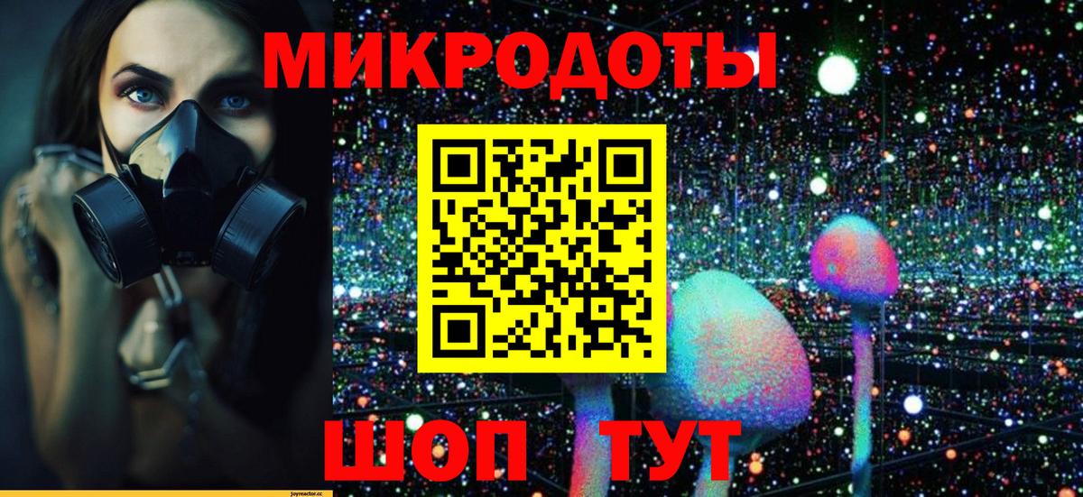 Галлюциногенные грибы Psilocybine cubensis Электросталь